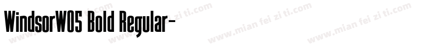 WindsorW05 Bold Regular字体转换
